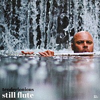 ＴＥＮＤＥＲＬＯＮＩＯＵＳ「 ＳＴＩＬＬ　ＦＬＵＴＥ」