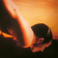 ＰＯＲＣＵＰＩＮＥ　ＴＲＥＥ「 ＯＮ　ＴＨＥ　ＳＵＮＤＡＹ　ＯＦ　ＬＩＦＥ」