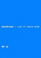 ＧＲＡＰＥＶＩＮＥ「 ＬＩＶＥ　ＡＴ　ＨＩＢＩＹＡ　ＰＡＲＫ」