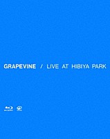 ＧＲＡＰＥＶＩＮＥ「 ＬＩＶＥ　ＡＴ　ＨＩＢＩＹＡ　ＰＡＲＫ」