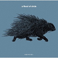 ａ　ｆｌｏｏｄ　ｏｆ　ｃｉｒｃｌｅ「 伝説の夜を君と」