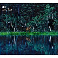 ｔａｃｉｃａ「 ＢＥＳＴ　ＡＬＢＵＭ　ｄｅａｒ，　ｄｅｅｒ」