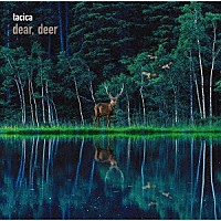 ｔａｃｉｃａ「 ＢＥＳＴ　ＡＬＢＵＭ　ｄｅａｒ，　ｄｅｅｒ」