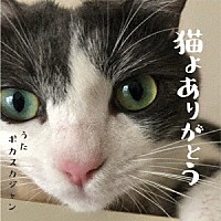 ポカスカジャン「 猫よありがとう」