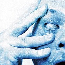 ＰＯＲＣＵＰＩＮＥ　ＴＲＥＥ「ＩＮ　ＡＢＳＥＮＴＩＡ」