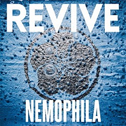 ＮＥＭＯＰＨＩＬＡ「ＲＥＶＩＶＥ」