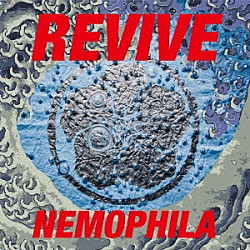 ＮＥＭＯＰＨＩＬＡ「ＲＥＶＩＶＥ」