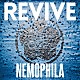 ＮＥＭＯＰＨＩＬＡ「ＲＥＶＩＶＥ」