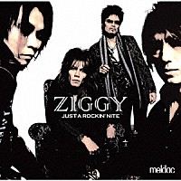 ＺＩＧＧＹ「 ＪＵＳＴ　Ａ　ＲＯＣＫＩＮ’ＮＩＴＥ」