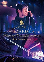 ＺＡＲＤ「 ＺＡＲＤ　Ｓｔｒｅａｍｉｎｇ　ＬＩＶＥ“Ｗｈａｔ　ａ　ｂｅａｕｔｉｆｕｌ　ｍｅｍｏｒｙ～３０ｔｈ　Ａｎｎｉｖｅｒｓａｒｙ～”」