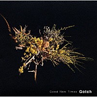 Ｇｏｔｃｈ「 Ｇｏｏｄ　Ｎｅｗ　Ｔｉｍｅｓ」