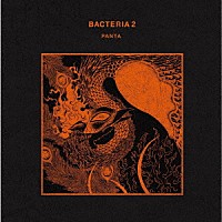 ＰＡＮＴＡ「 ＢＡＣＴＥＲＩＡ　２」