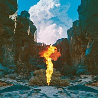 Ｂｏｎｏｂｏ「 Ｍｉｇｒａｔｉｏｎ」