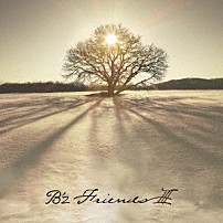 Ｂ’ｚ 「ＦＲＩＥＮＤＳ　Ⅲ」