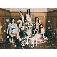 Ｒｅｄ　Ｖｅｌｖｅｔ「 Ｂｌｏｏｍ」