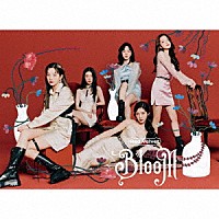 Ｒｅｄ　Ｖｅｌｖｅｔ「 Ｂｌｏｏｍ」