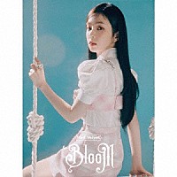 Ｒｅｄ　Ｖｅｌｖｅｔ「 Ｂｌｏｏｍ」