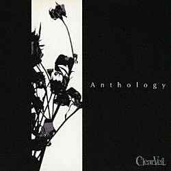 ＣｌｅａｒＶｅｉｌ「Ａｎｔｈｏｌｏｇｙ　ＴＹＰＥ　Ａ」