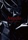 Ａｎｇｅｌｏ「ＣＯＮＮＥＣＴＥＤ　ＮＥＷ　ＣＩＲＣＬＥＳ」