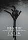 ｔｈｅ　ＧａｚｅｔｔＥ「ｔｈｅ　ＧａｚｅｔｔＥ　ＬＩＶＥ　ＴＯＵＲ　１３－１４　［ＭＡＧＮＩＦＩＣＥＮＴ　ＭＡＬＦＯＲＭＥＤ　ＢＯＸ］　ＦＩＮＡＬ　ＣＯＤＡ　ＬＩＶＥ　ＡＴ　０１．１１　ＹＯＫＯＨＡＭＡ　ＡＲＥＮＡ」