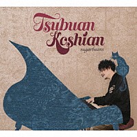 ｓｕｇａｒｂｅａｎｓ「 Ｔｓｕｂｕａｎ　Ｋｏｓｈｉａｎ」