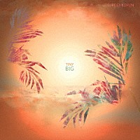 ＬＥＩＳＵＲＥ　ＣＨＩＬＤＲＥＮ「 ＴＩＮＹ　ＢＩＧ」