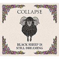 ＣＯＬＬＡＰＳＥ「 ＢＬＡＣＫ　ＳＨＥＥＰ　ＩＳ　ＳＴＩＬＬ　ＤＲＥＡＭＩＮＧ」