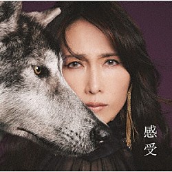 Ｓｈｉｚｕｋａ　Ｋｕｄｏ「「感受」　Ｓｈｉｚｕｋａ　Ｋｕｄｏ　３５ｔｈ　Ａｎｎｉｖｅｒｓａｒｙ　ｓｅｌｆ－ｃｏｖｅｒ　ａｌｂｕｍ」