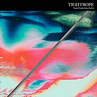 ９ｍｍ　Ｐａｒａｂｅｌｌｕｍ　Ｂｕｌｌｅｔ「 ＴＩＧＨＴＲＯＰＥ」