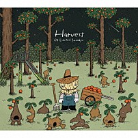 ０４　Ｌｉｍｉｔｅｄ　Ｓａｚａｂｙｓ 「Ｈａｒｖｅｓｔ」