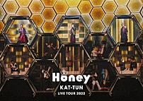 ＫＡＴ－ＴＵＮ 「ＫＡＴ－ＴＵＮ　ＬＩＶＥ　ＴＯＵＲ　２０２２　Ｈｏｎｅｙ」