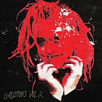 ＣＡＬＥＢ　ＬＡＮＤＲＹ　ＪＯＮＥＳ「 ＧＡＤＺＯＯＫＳ　ＶＯＬ．　２」