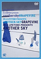 ＧＲＡＰＥＶＩＮＥ「 ｉｎ　ａ　ｌｉｆｅｔｉｍｅ　ｐｒｅｓｅｎｔｓ　ａｎｏｔｈｅｒ　ｓｋｙ」