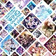 シャイニーカラーズ「ＴＨＥ　ＩＤＯＬＭ＠ＳＴＥＲ　ＳＨＩＮＹ　ＣＯＬＯＲＳ　ＷＩＮＧ　ＣＯＬＬＥＣＴＩＯＮ　－Ａ　ｓｉｄｅ－」