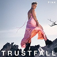 Ｐ！ＮＫ「 トラストフォール」