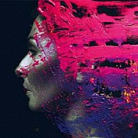 ＳＴＥＶＥＮ　ＷＩＬＳＯＮ「 ＨＡＮＤ．ＣＡＮＮＯＴ．ＥＲＡＳＥ．」