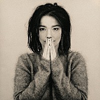 Ｂｊｏｒｋ「 Ｄｅｂｕｔ」