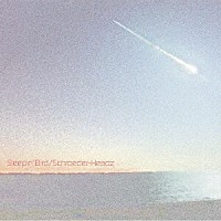 Ｓｃｈｒｏｅｄｅｒ－Ｈｅａｄｚ「 Ｓｌｅｅｐｉｎ’　Ｂｉｒｄ」