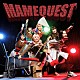 豆柴の大群「ＭＡＭＥＱＵＥＳＴ」