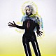 Ｂｊｏｒｋ「Ｖｕｌｎｉｃｕｒａ」