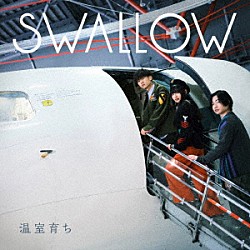 ＳＷＡＬＬＯＷ「温室育ち」