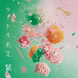 タイトル未定「栞」