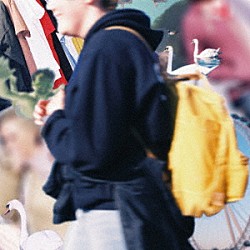 ｐｕｇｇｓ「パグスの中毒」