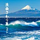 （伝統音楽） 浪花亭綾太郎 玉川勝太郎［二代目］ 相模太郎 広沢虎造［二代目］ 春日井梅鶯［初代］ 三門博 寿々木米若「浪曲さわり集　ベスト」