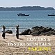 Ｓａｉｇｅｎｊｉ「ＣＯＶＥＲＳ　＆　ＩＮＳＴＲＵＭＥＮＴＡＬＳ」