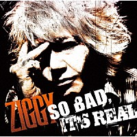 ＺＩＧＧＹ「 ＳＯ　ＢＡＤ，　ＩＴ’Ｓ　ＲＥＡＬ」