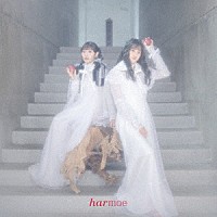 ｈａｒｍｏｅ「 Ｌｏｖｅ　ｉｓ　ａ　ｐｏｔｉｏｎ」