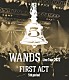 ＷＡＮＤＳ「ＷＡＮＤＳ　Ｌｉｖｅ　Ｔｏｕｒ　２０２２　ＦＩＲＳＴ　ＡＣＴ　５ｔｈ　ｐｅｒｉｏｄ」