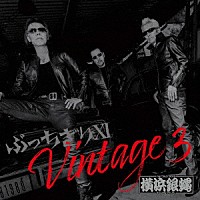 Ｔ．Ｃ．Ｒ．横浜銀蝿Ｒ．Ｓ．「 ぶっちぎりⅩⅠ　Ｖｉｎｔａｇｅ　３」