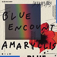 ＢＬＵＥ　ＥＮＣＯＵＮＴ「 アマリリス」